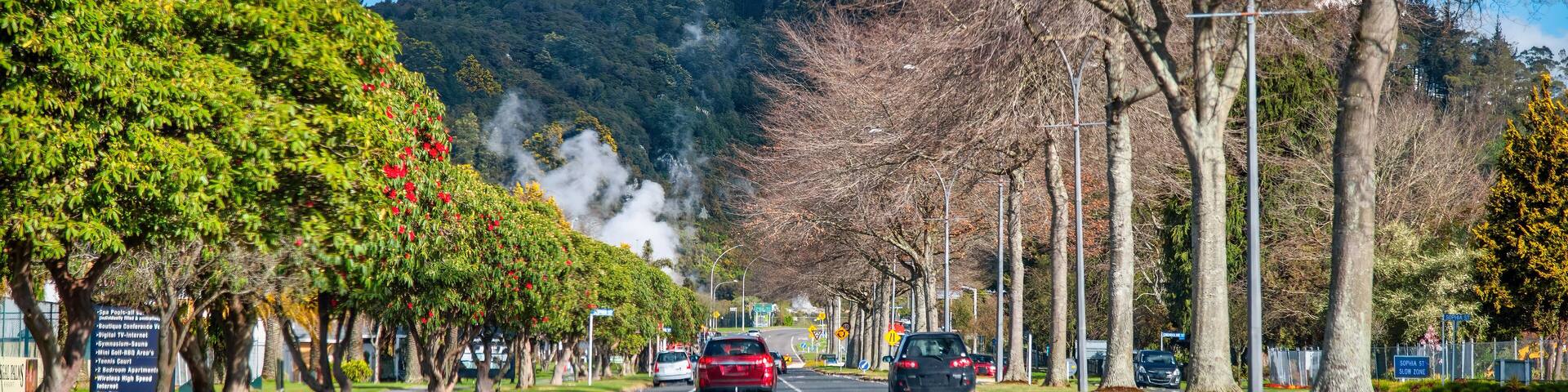 Driving along Fenton Street on a beautiful sunny day