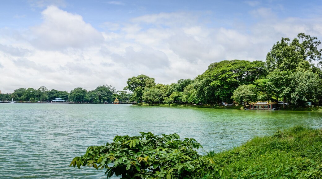 เขตการปกครองท้องถิ่นแยนคิน