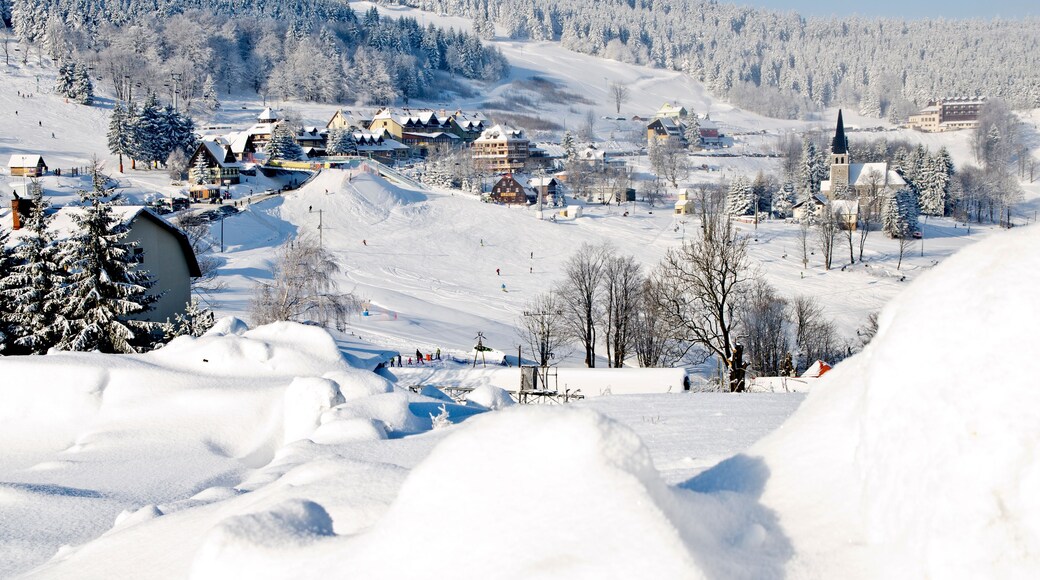 Estância de esqui coberta de neve com edifícios, árvores e céu claro.