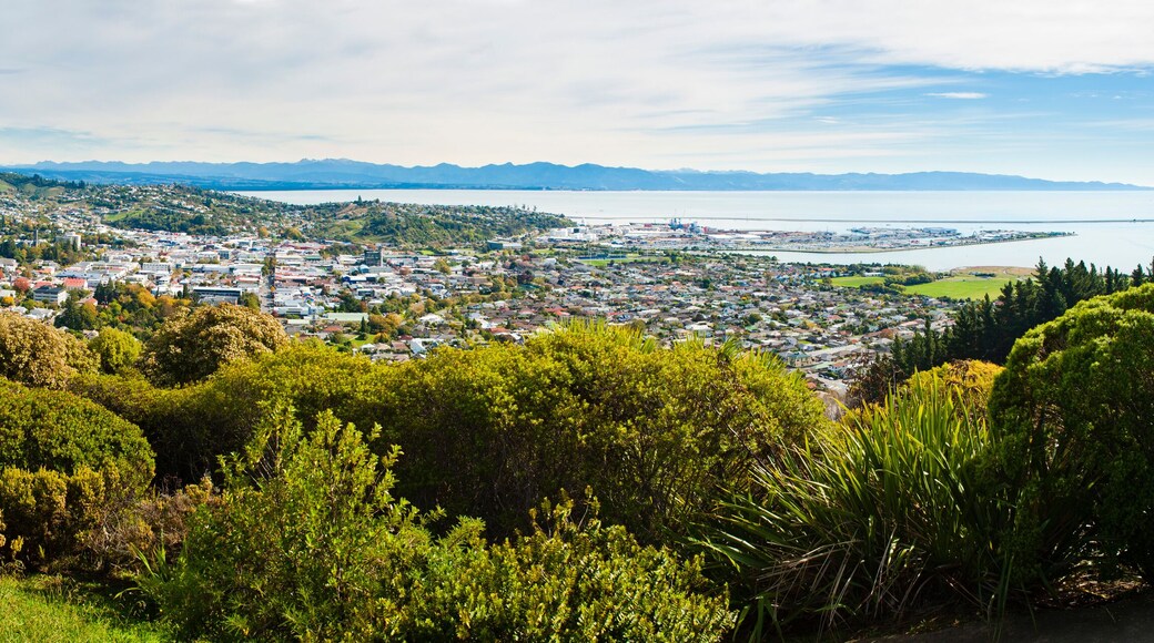 Nelsonin kaupungin keskusta