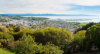 Nelsonin kaupungin keskusta