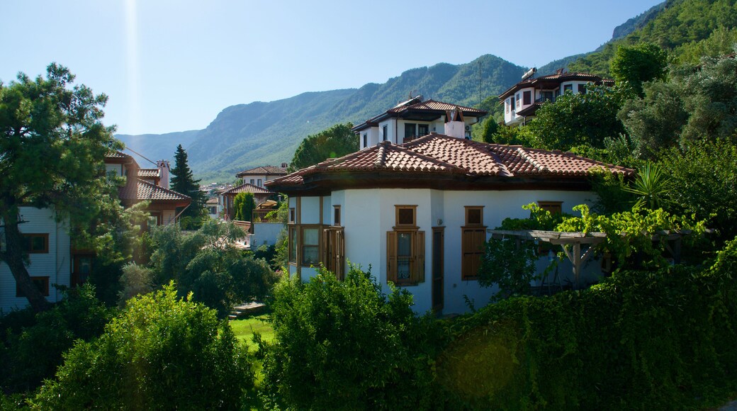 A view from Ortaca, Dalyan district center. Green nature and touristic Dalyan district.