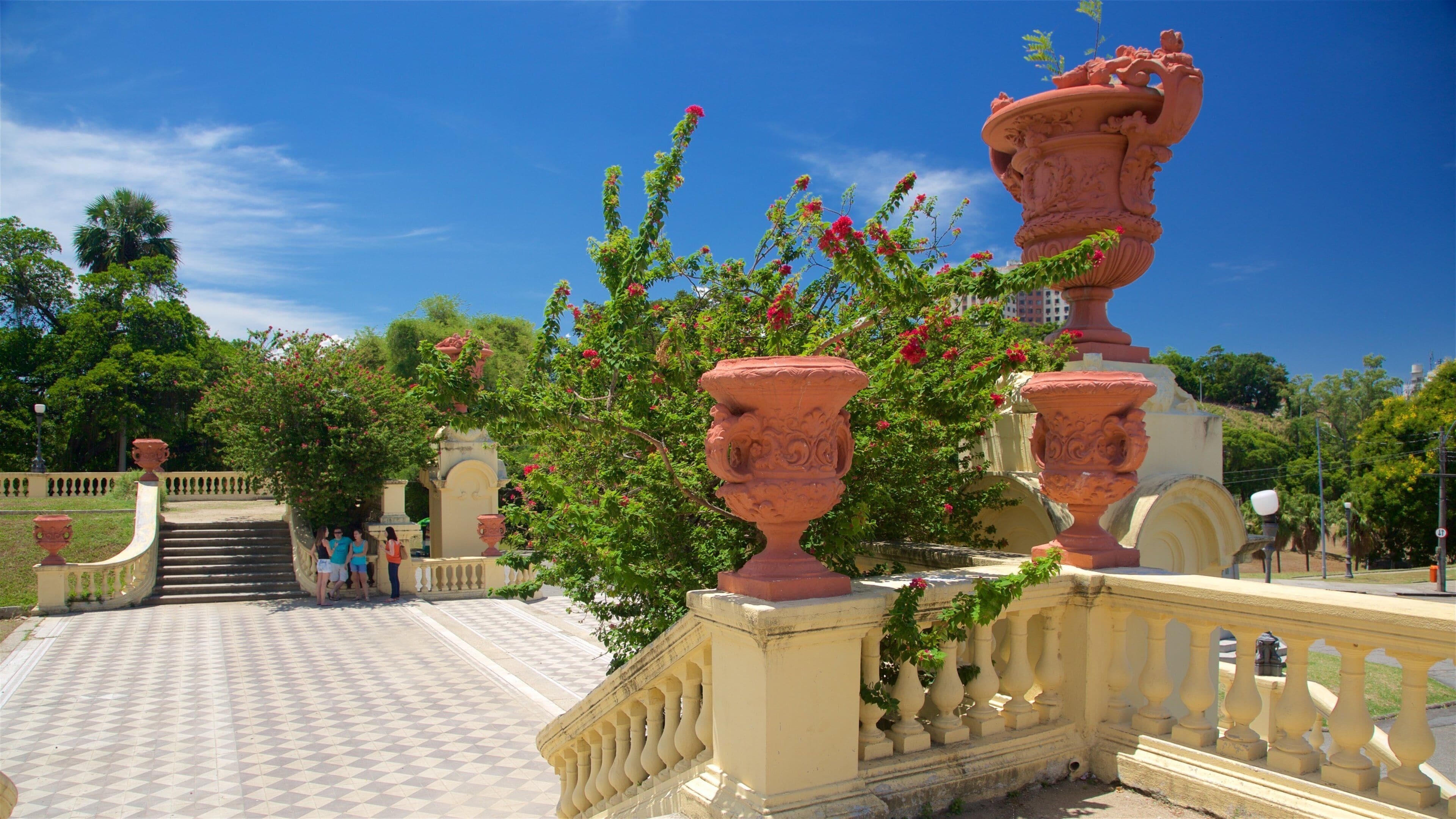 St Maarten and St Martin which includes heritage elements, a square or plaza and wildflowers