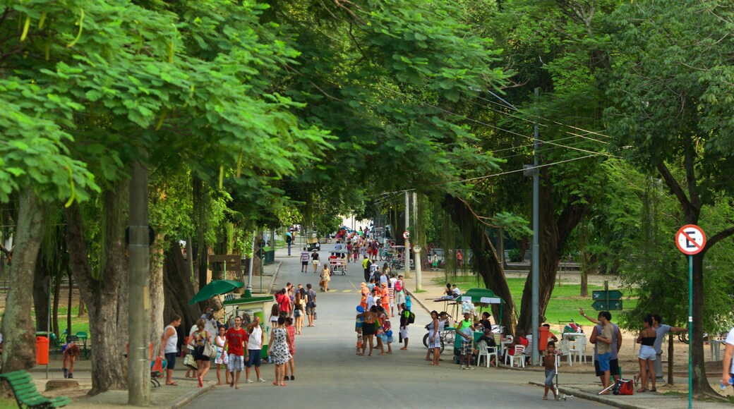 Zona Norte showing street scenes and a park as well as a large group of people