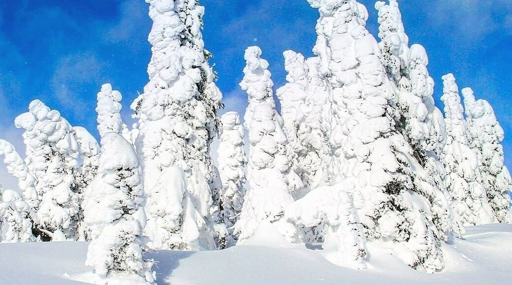 Journée des Dieux au mont Seymour!!!