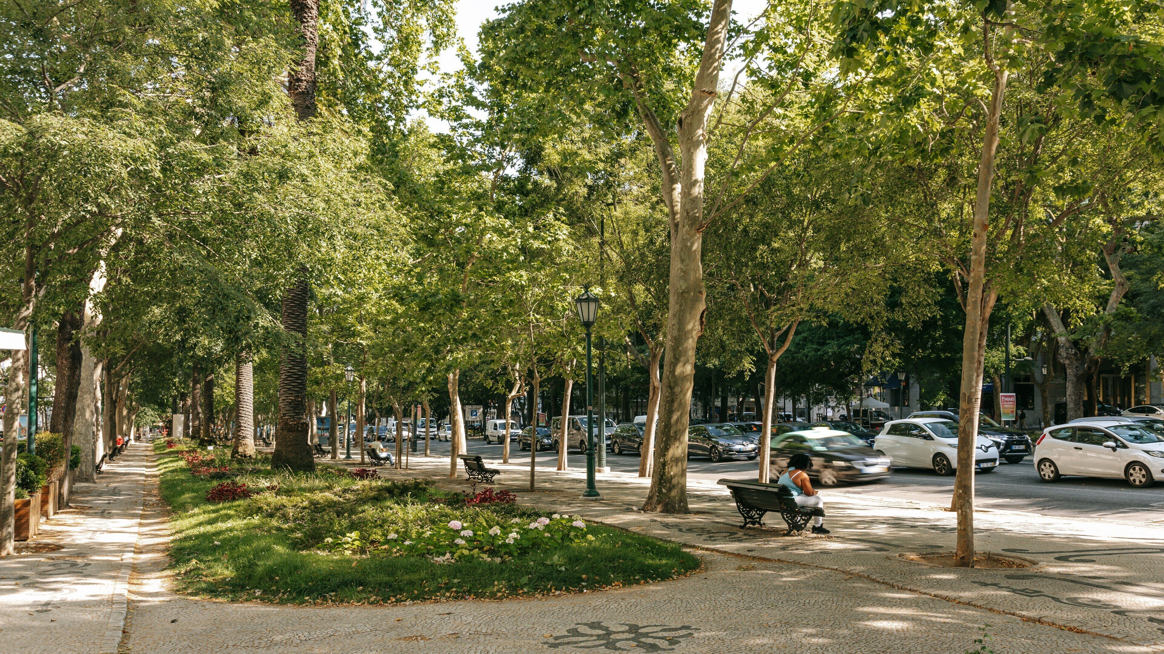Santo Antonio showing a garden