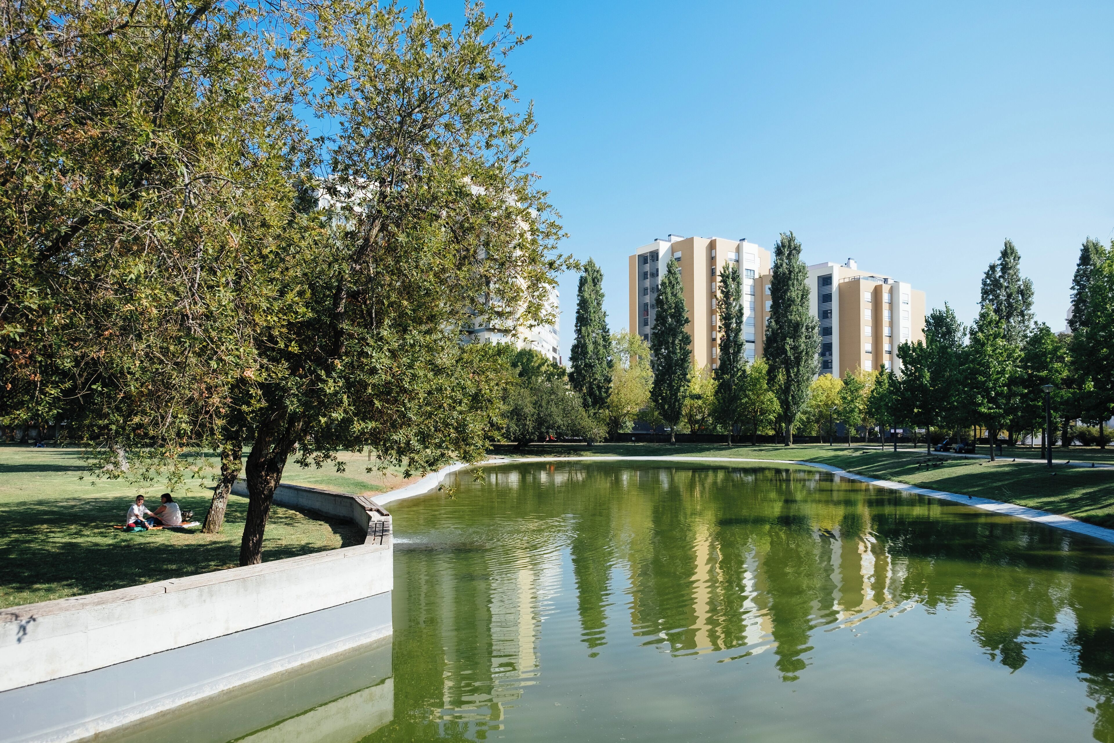 A park with a pond, trees, and tall buildings in the background.