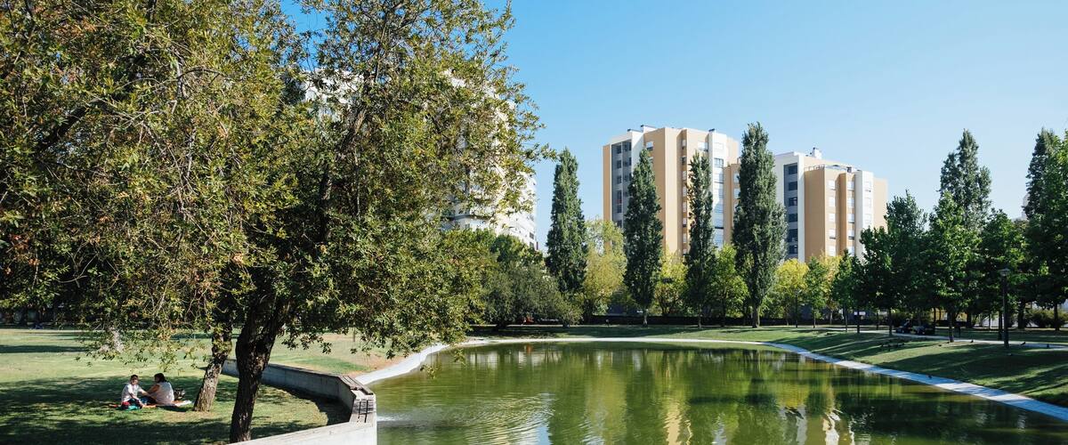 A park with a pond, trees, and tall buildings in the background.