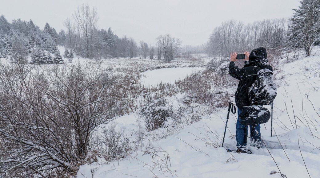 While snowshoeing, a winter storm passes through Brampton on a snowy day at Claireville Convservation Area in Ontario, Canada
