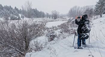 Northeast Mississauga