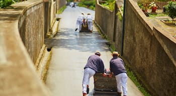 Toboggan riders pushing wooden sledge downhill in Funchal, Madeira island, Portugal