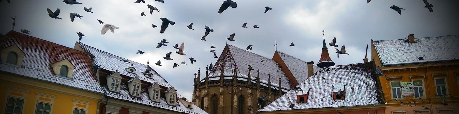Colourfull city in the heart of Romania