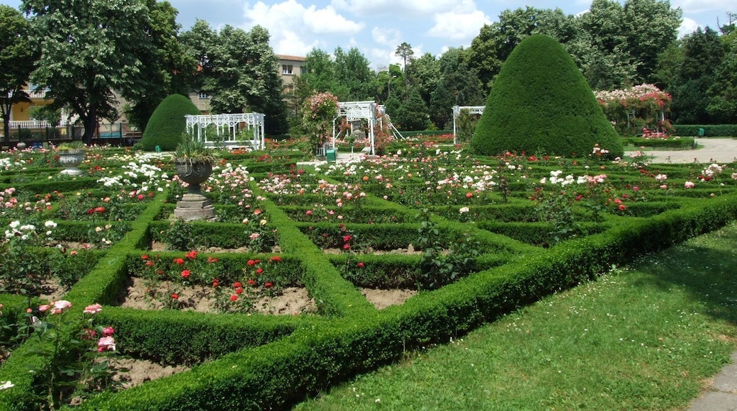 The Rose Park in Timisoara is one of the city beauties
#architecture