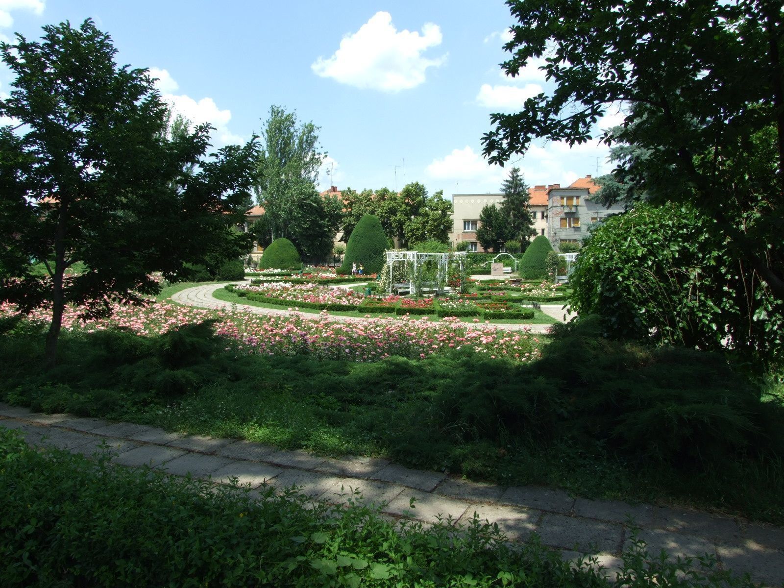 The ROSE PARK of Timisoara
According to some theories the Roses Park was realized thanks to the contribution of the town's rich women, who brought from abroad, on their own cost, several rose species. In 1891, during the Universal Exposition attended by King Franz Josef, 10 wooden pavilions were set here. The exposition park was realized by Wilhelm Mühle, and it presented more than 300 species of roses. Mühle was the owner of a horticultural garden with 17 solariums, and the roses he cultivated were renowned abroad as well.
#architecture