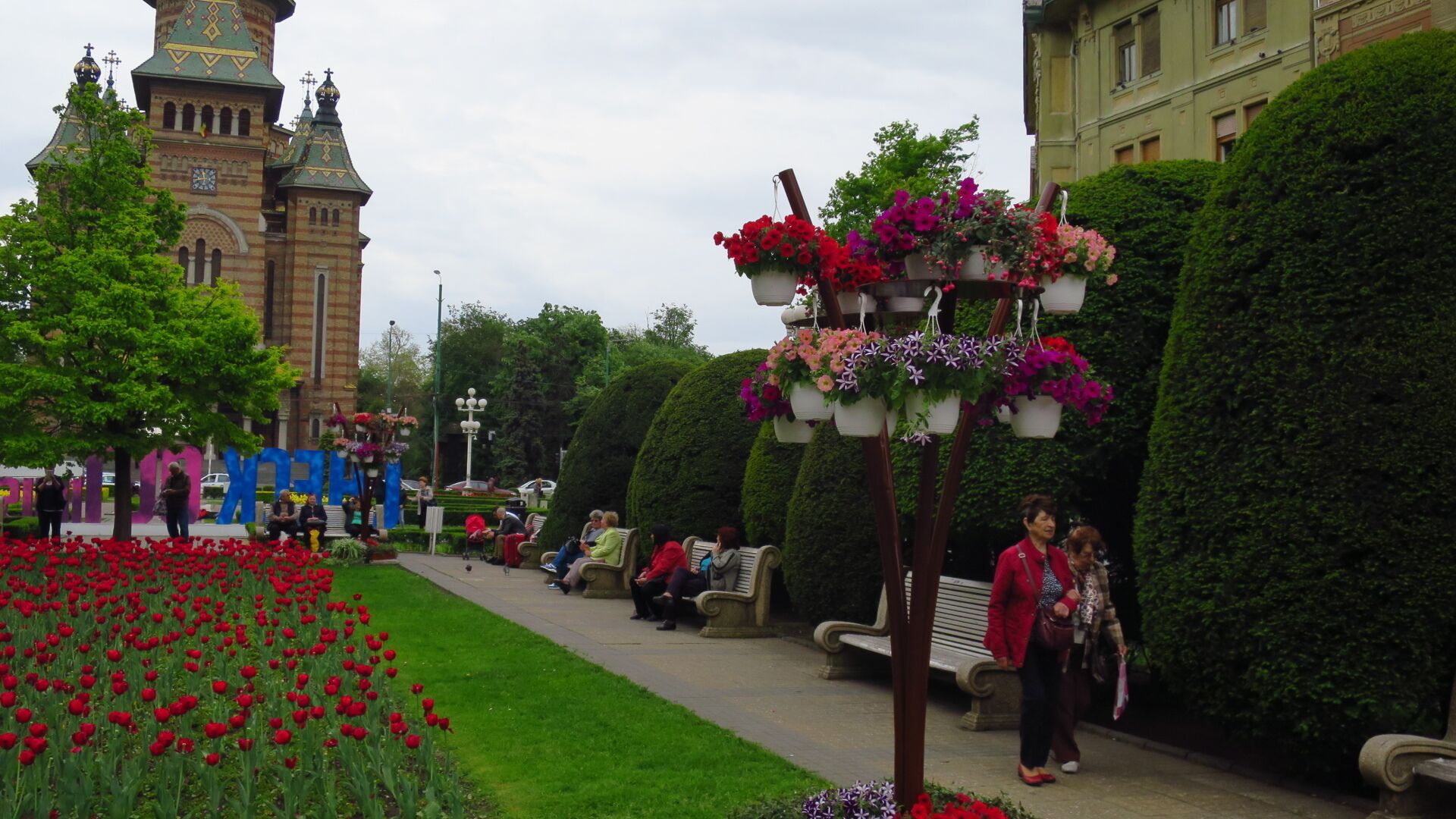 A park with red tulips, benches, and a building with a clock tower.