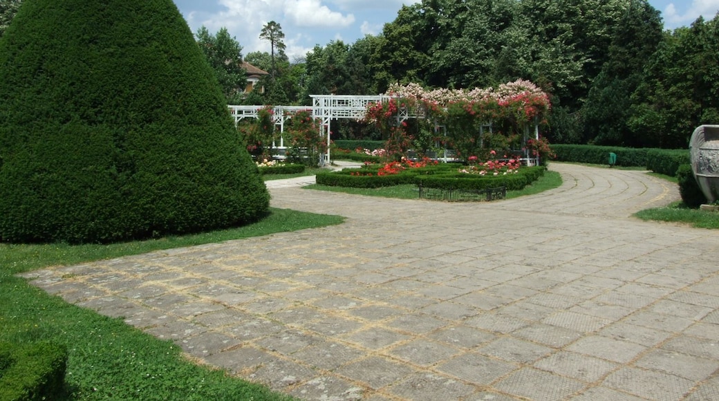A nice view in the Rose Park Timisoara
#architecture