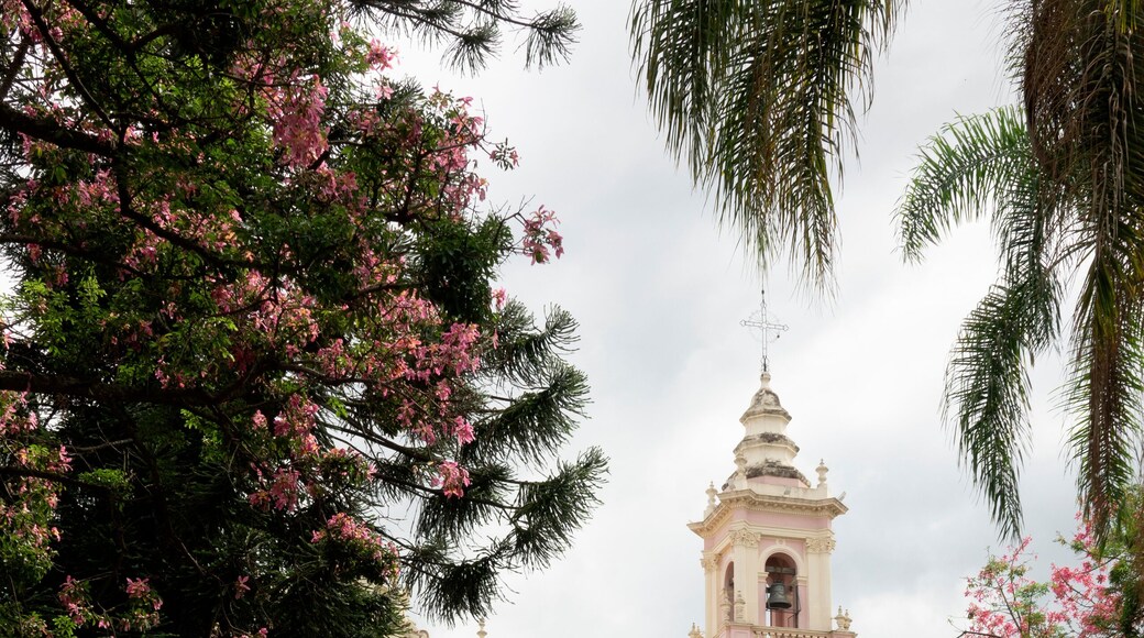 Catedral de Salta vista desde la Plaza 9 de Julio, con árboles de flores rosas, una mañana de verano en el centro de la provincia de Salta, Argentina