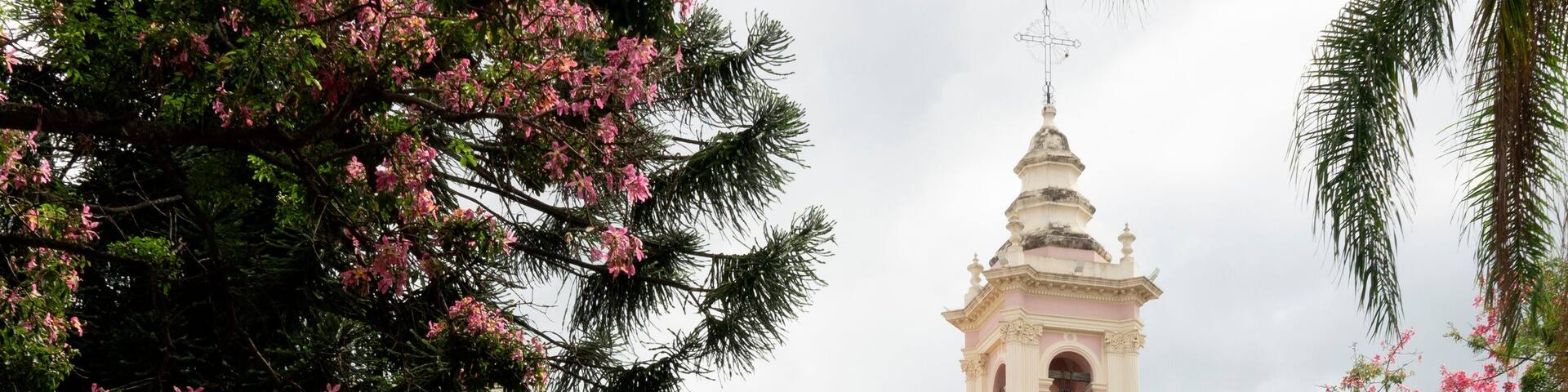Catedral de Salta vista desde la Plaza 9 de Julio, con árboles de flores rosas, una mañana de verano en el centro de la provincia de Salta, Argentina