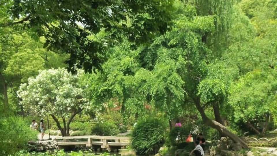 Humble Administrator Garden in Suzhou, China