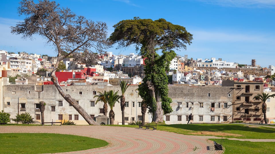 Tangier, Morocco. Street view with old trees