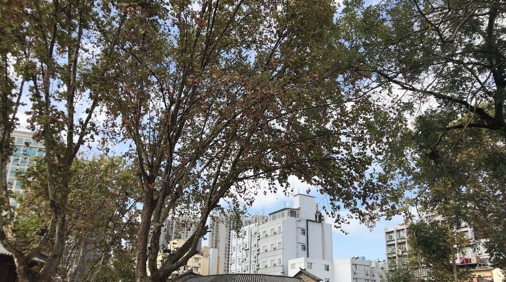 Adopt the pace of nature: her secret is patience.
- Ralph Waldo Emerson
We are a product of nature, albeit an infinitesimal one. Nature includes quantum particles, black holes, and the expanding parts of the universe filled with dark energy. Within the scope of space-time, patience is really the only option.