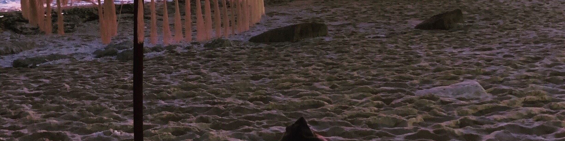 Bali subset #thisisvacation