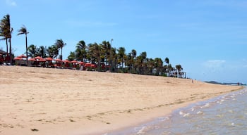 เทวีศรี