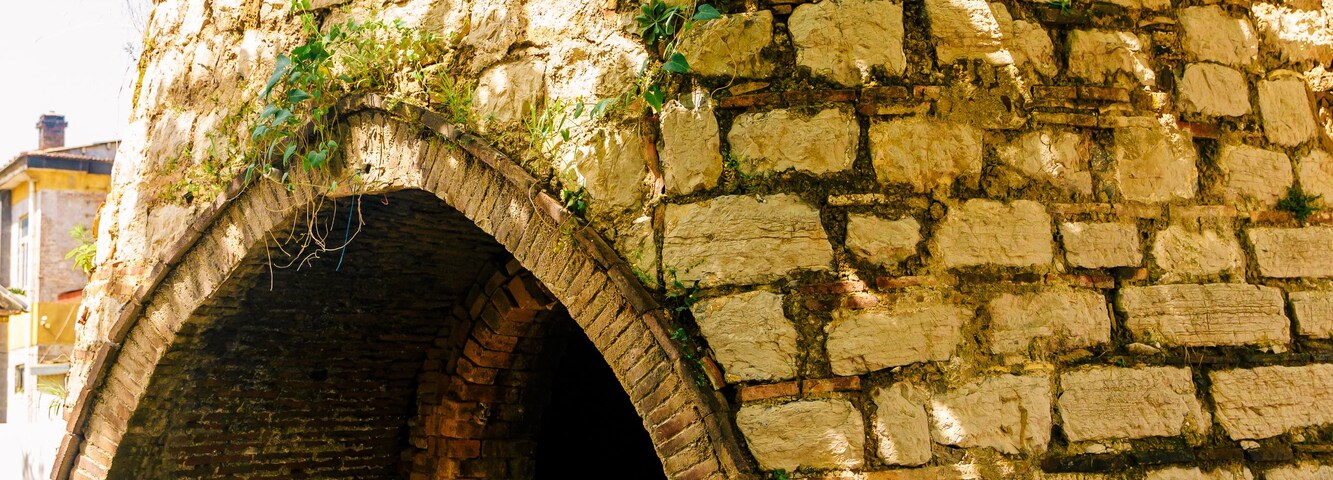 Un antiguo arco de piedra cubierto de musgo y hiedra, que da paso a un corredor oscuro.