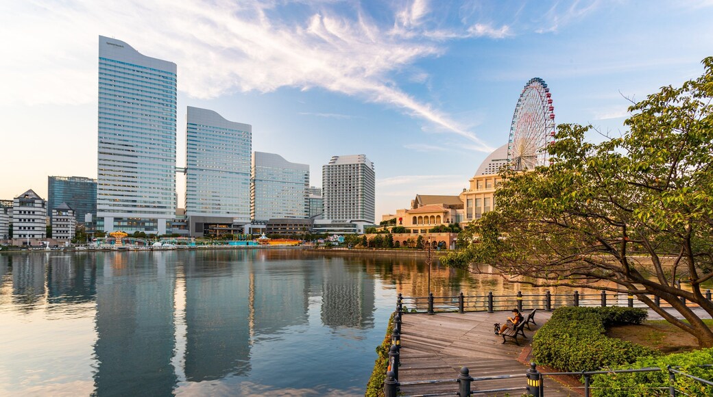 Sakuragichō which includes a sunset, a bay or harbor and a city