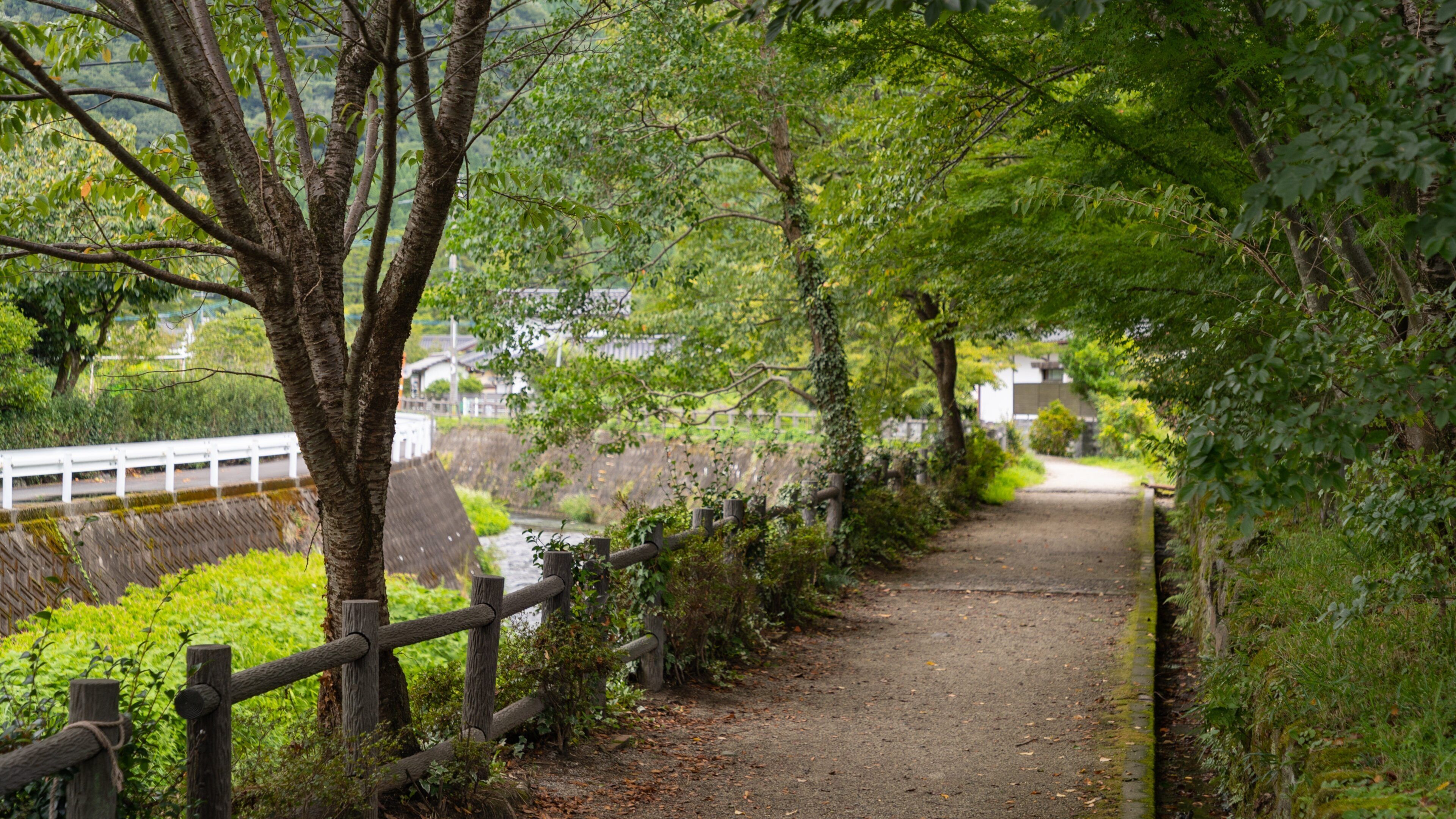 Yufuin Onsen which includes a garden