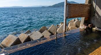 Een steiger met een houten constructie en stenen paaltjes die in het water reiken.