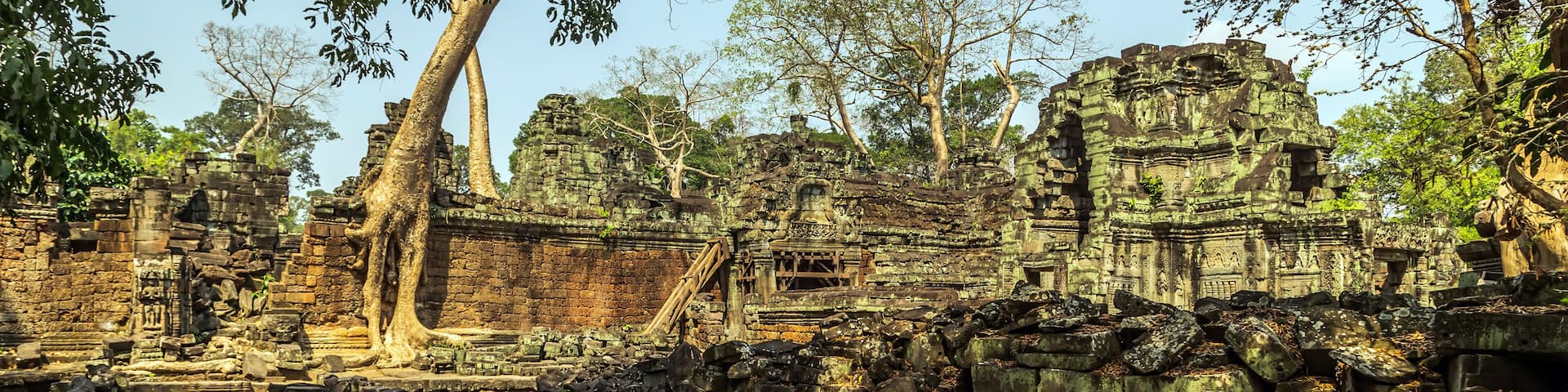 Ancient stone ruins with overgrown vegetation and a stone pathway.