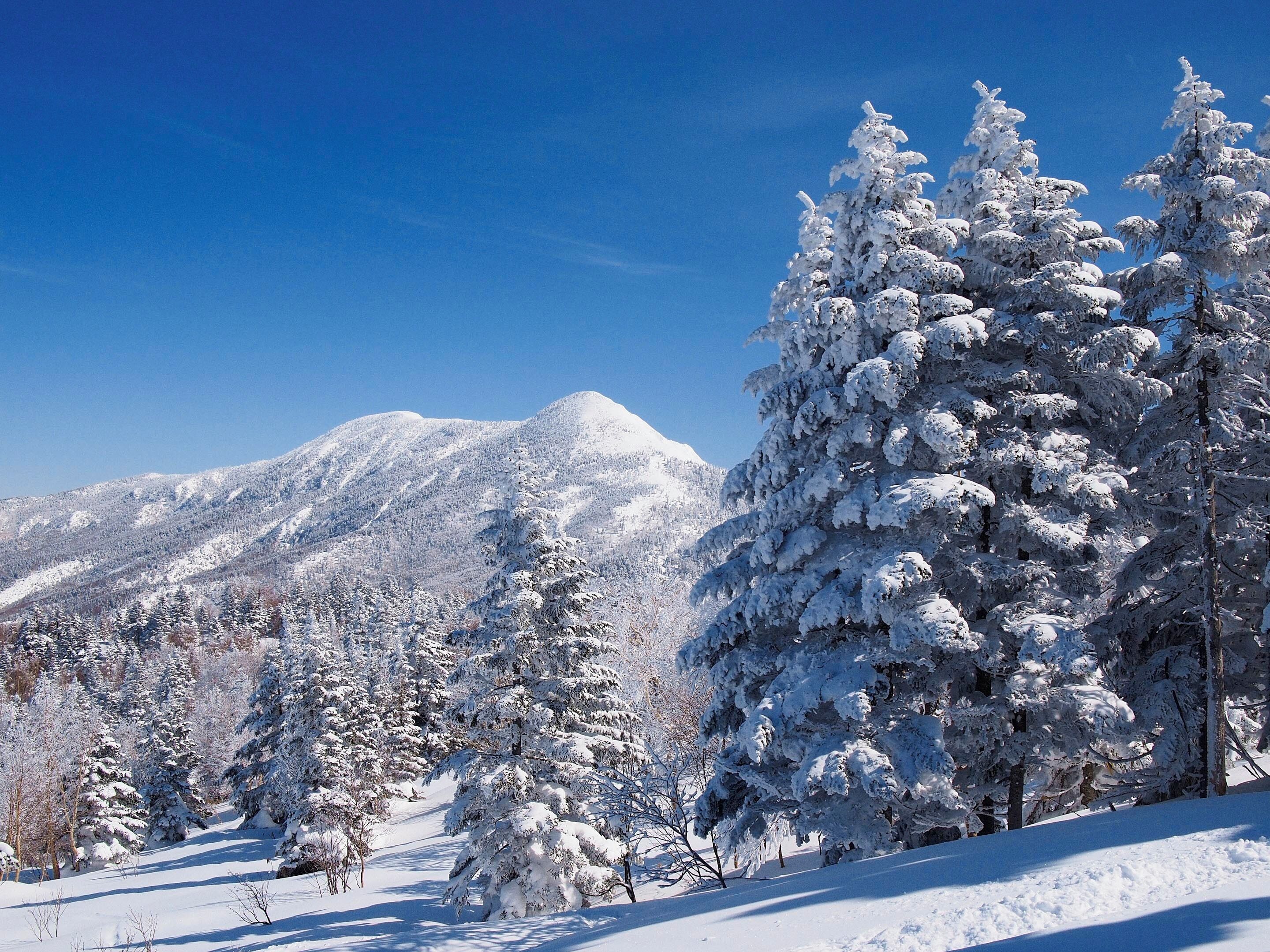 Mt. Iwasuge 岩菅山