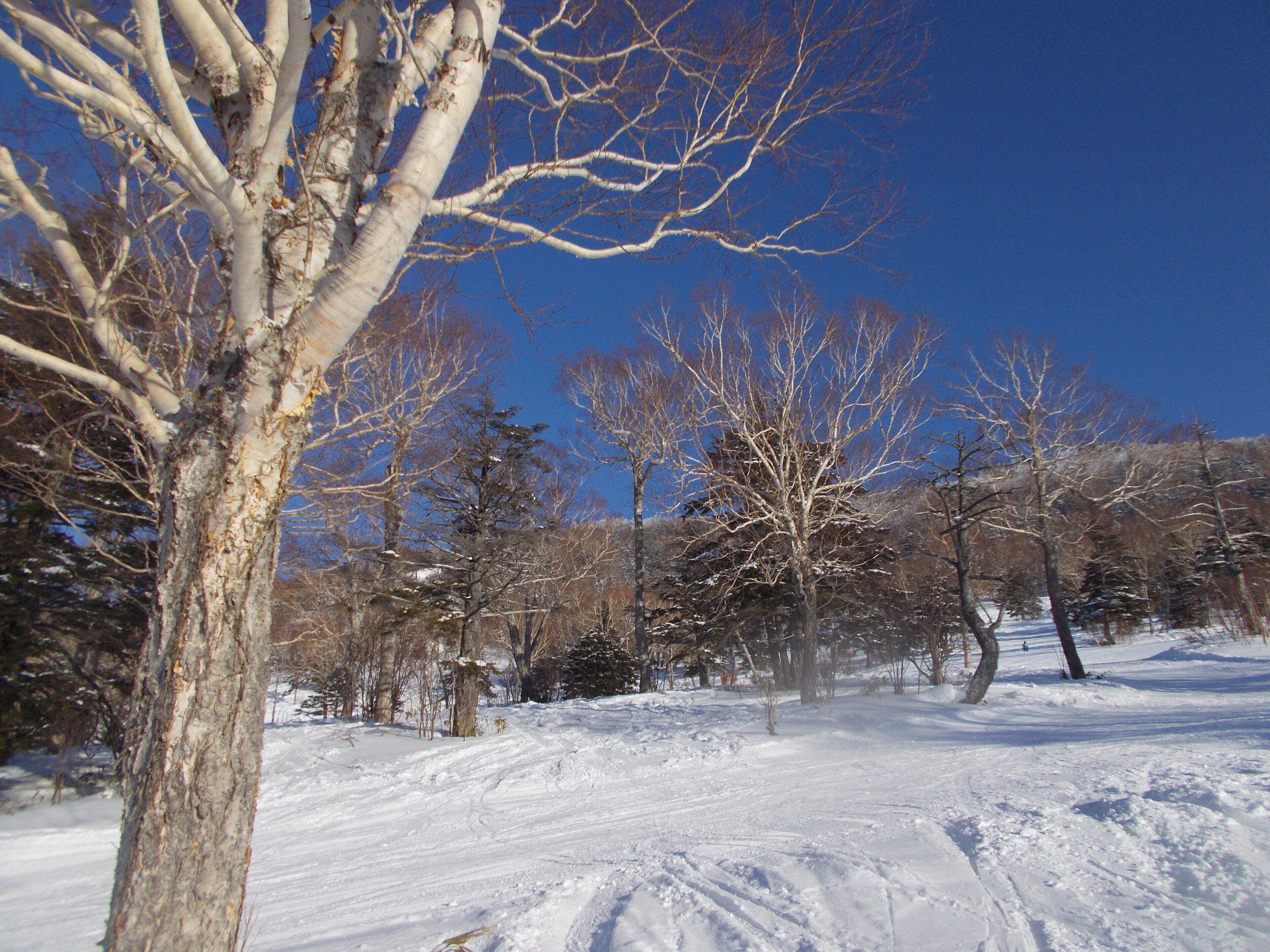 一の瀬ファミリースキー場