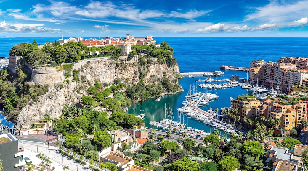 prince's palace in Monte Carlo, Monaco