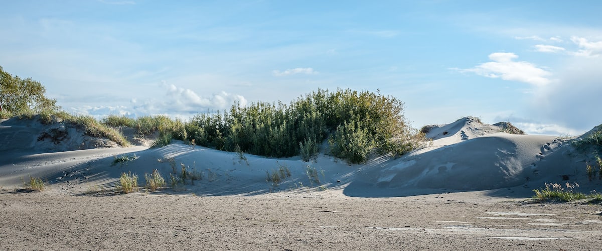 .Coastal area at Parnu, Estonia. Coastal scenery with sandy beach and dunes on sunny autumn day.