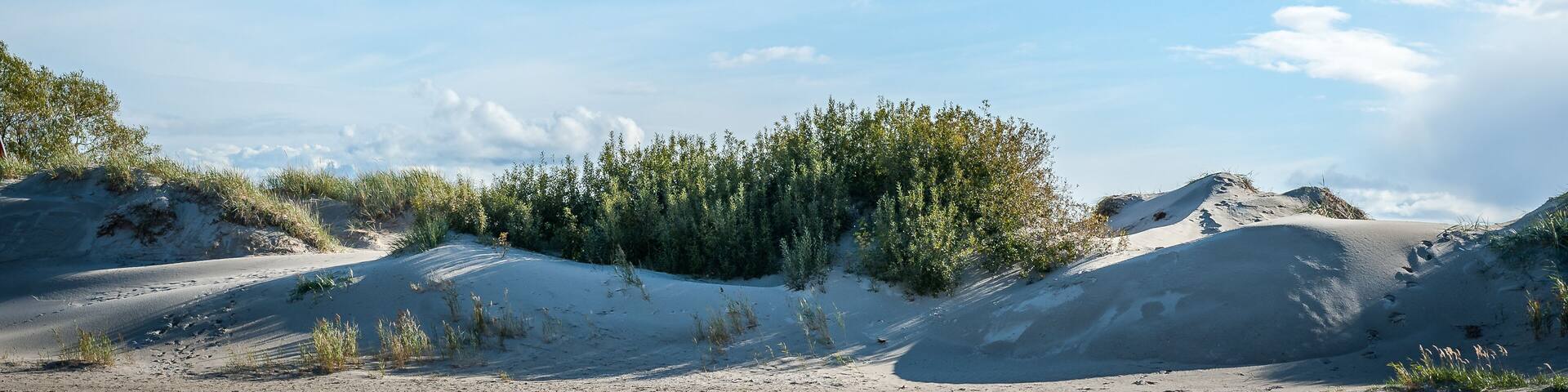 .Coastal area at Parnu, Estonia. Coastal scenery with sandy beach and dunes on sunny autumn day.