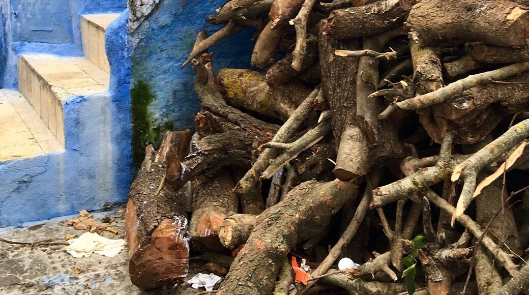 Beautiful, beautiful Chefchaouen