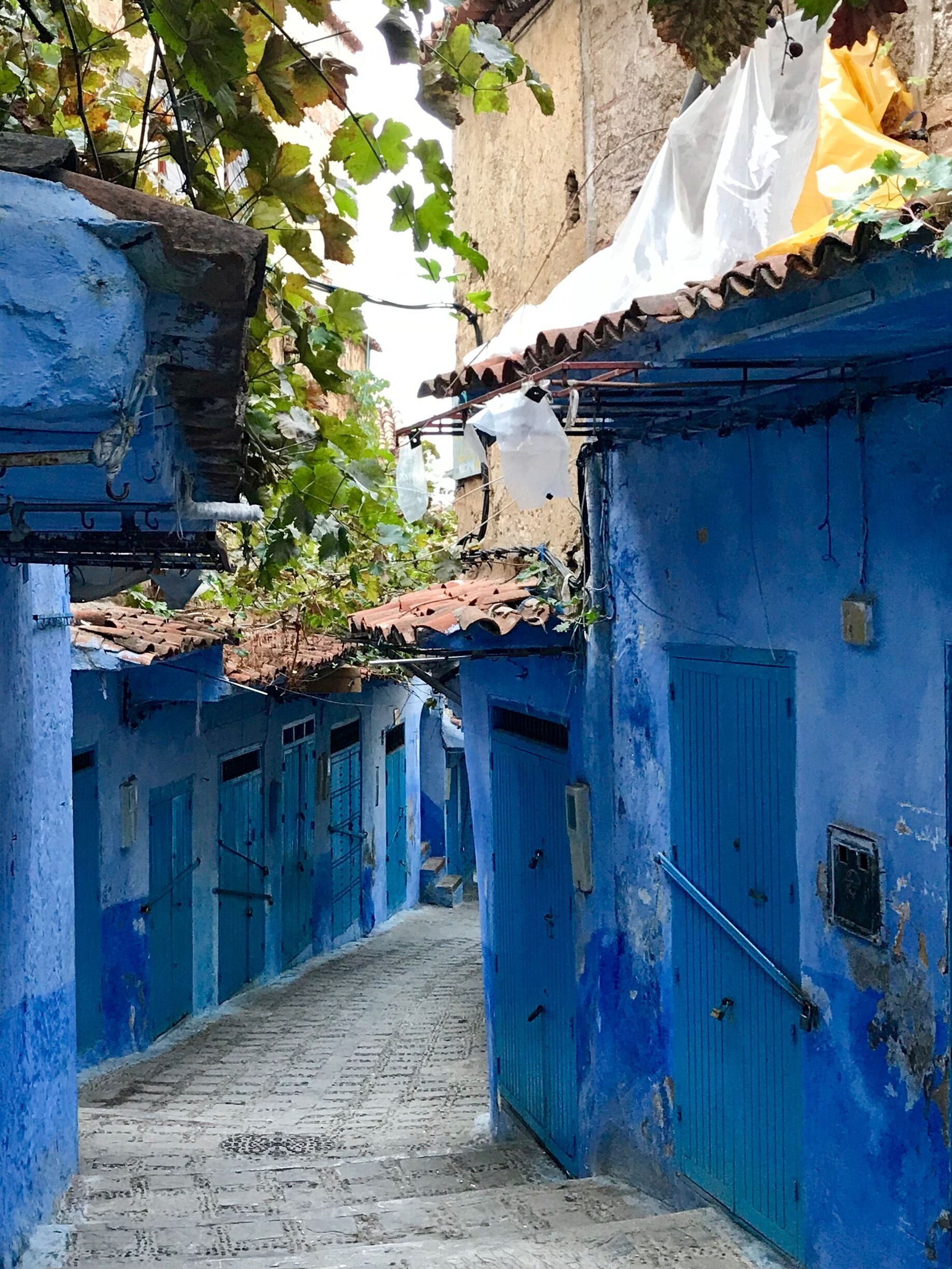 This blue village at the Riff Mountains worth the trip. Its like you are inside a movie about magical places with magical people. Just go!  