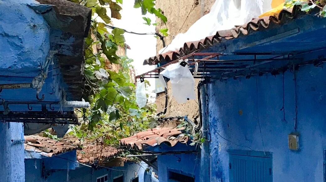 This blue village at the Riff Mountains worth the trip. Its like you are inside a movie about magical places with magical people. Just go!