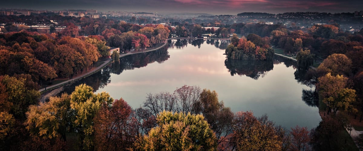 A lake surrounded by autumn-colored trees, a bridge, and a city skyline in the distance.