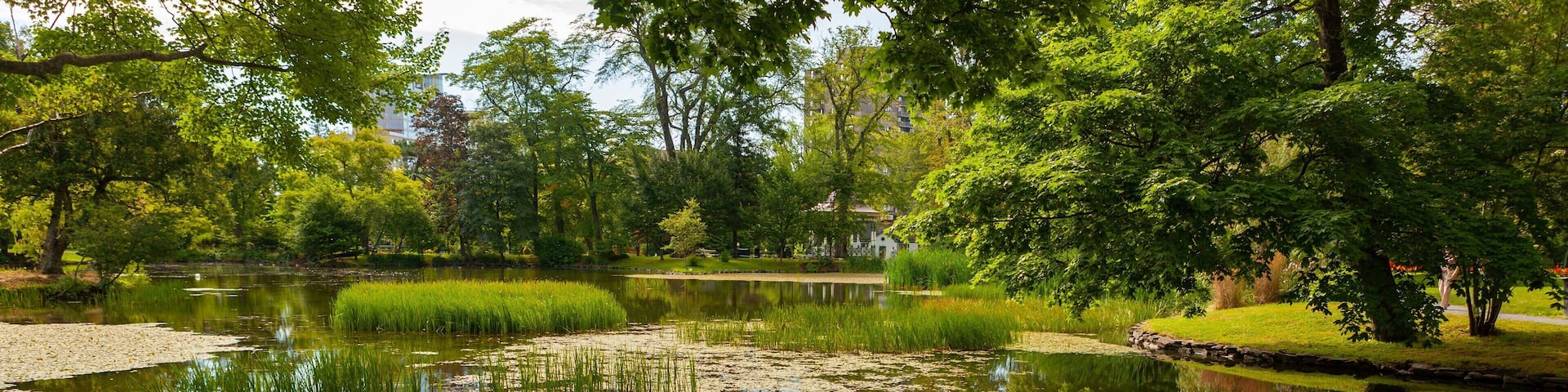 Halifax Public Gardens showing a pond and a park