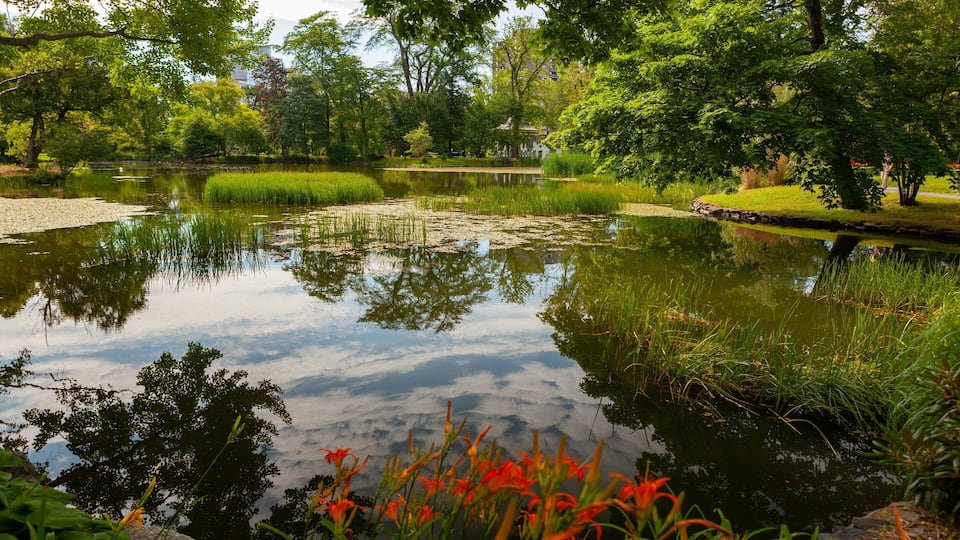 Halifax Public Gardens showing a pond and a park