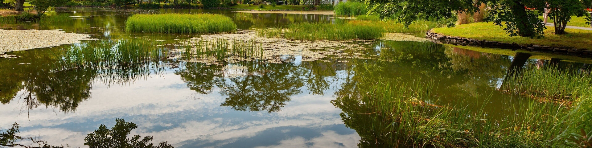 哈利法克斯公共花園 设有 公園 和 池塘