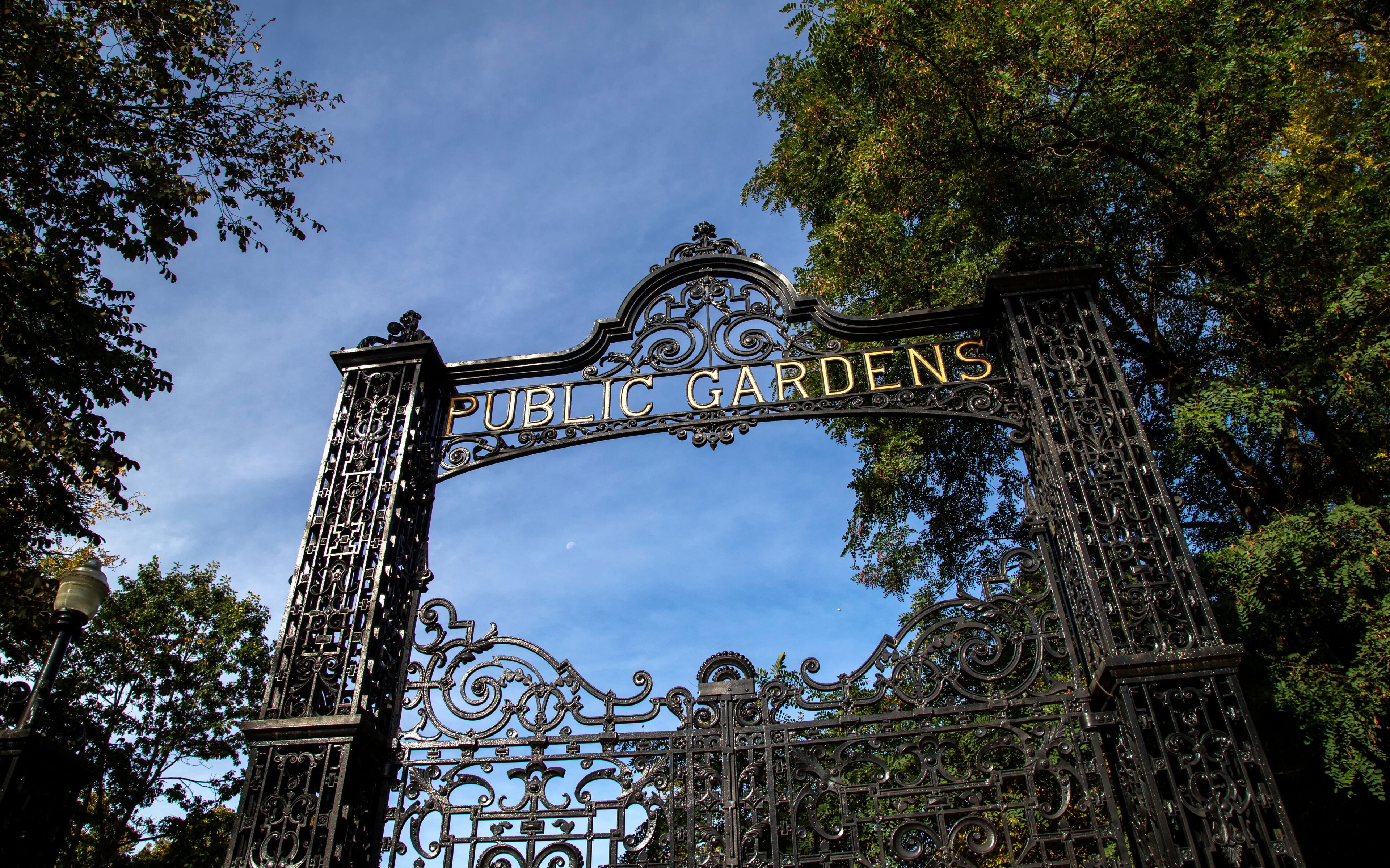 Una elaborada puerta de hierro forjado con la inscripción 'PUBLIC GARDENS' sobre un cielo azul despejado.