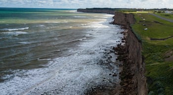 Cliffs at Acantilados near Mar del Plata Argentina – high resolution drone photos of the Argentinian coast Mar del Plata Casino Central in spring. Buenos Aires Capital Federal district