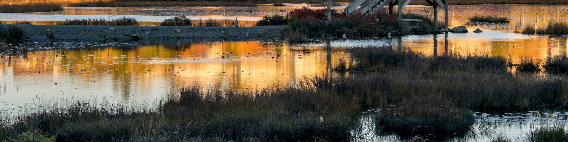 Houses on Belchers Marsh Park cast reflections onto the surface of the pond, autumn October 17, 2014.