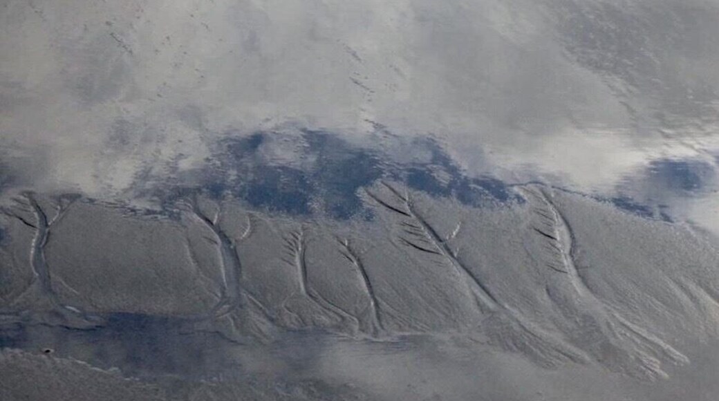 Walking on the very long beach at low tide with the clouds reflecting off the wet sand looking like tree tops on the natural design in the sand.
#Reflections sweepstakes
