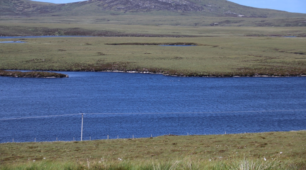 Beinn Langais ist ein 90m hoher Hügel mit viel Aussicht auf dem und um den Gipfel. Leider kann ich nicht mehr die Blickrichtung nennen. Vermutlich Nord. North Uist, Äußere Hebriden, Schottland