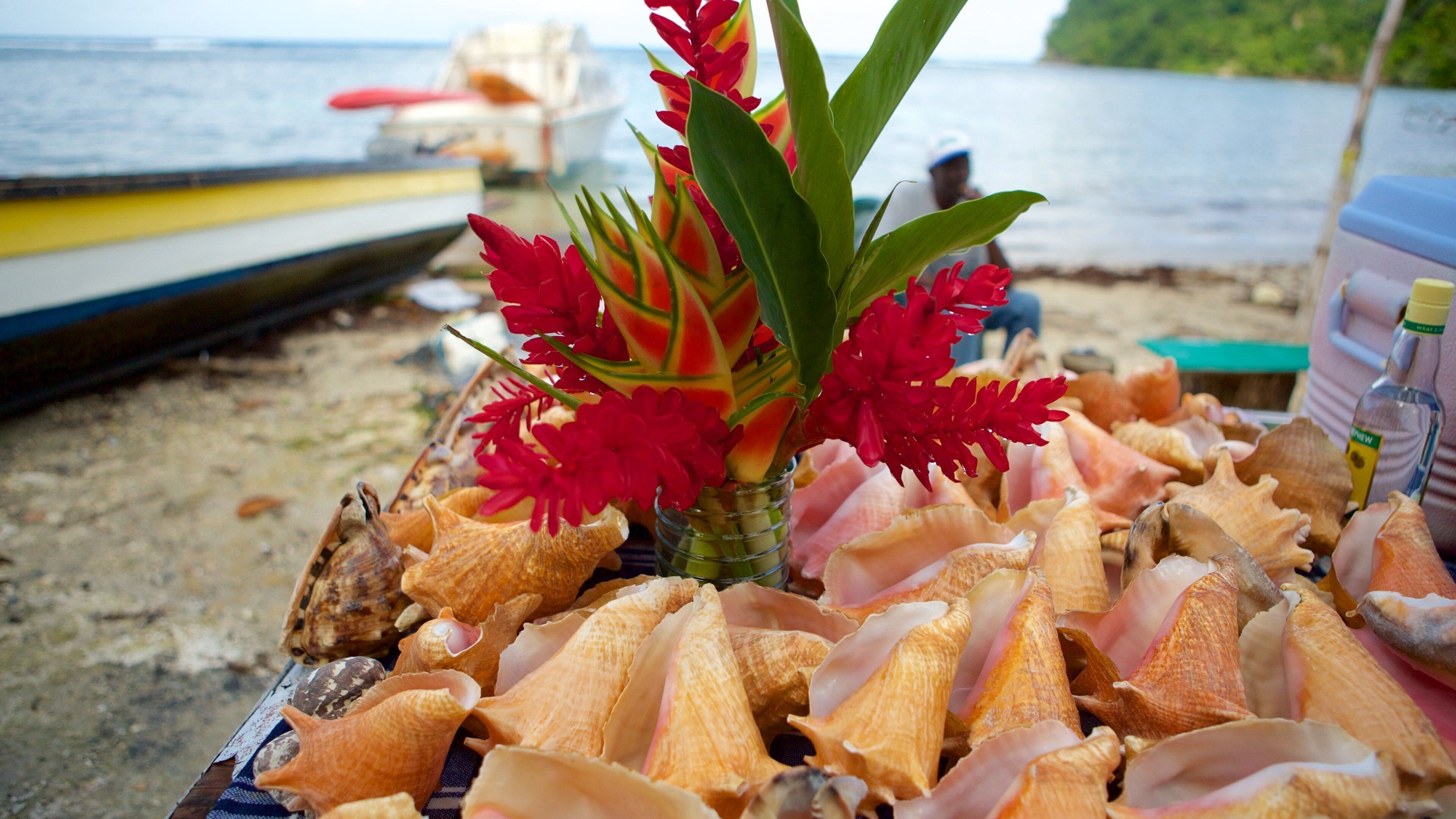 Blue Lagoon som inkluderer shopping